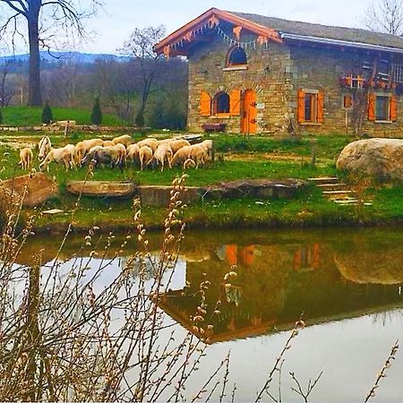 Cabana Casa De Piatra, De La Mara Desesti Luaran gambar